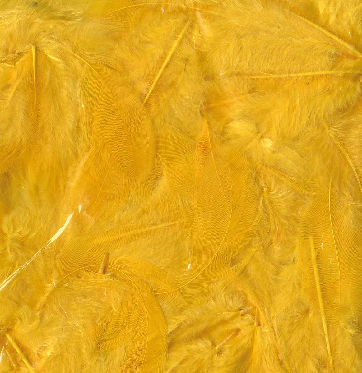 Artemio Coloured Feathers 10G - Image 3