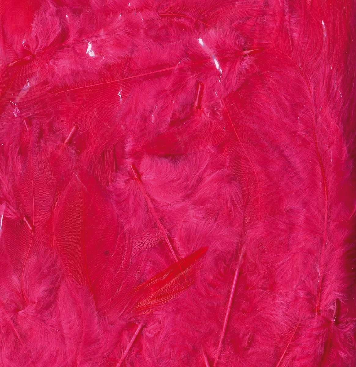 Artemio Coloured Feathers 10G - Image 6