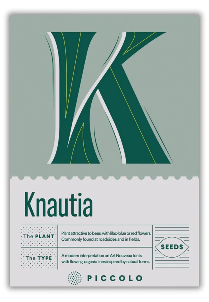 The Botanical Alphabet - Image 11