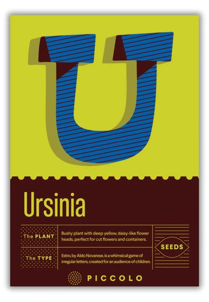 The Botanical Alphabet - Image 21