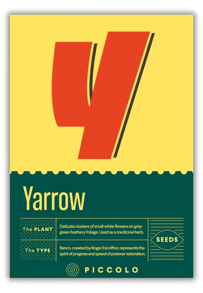 The Botanical Alphabet - Image 25