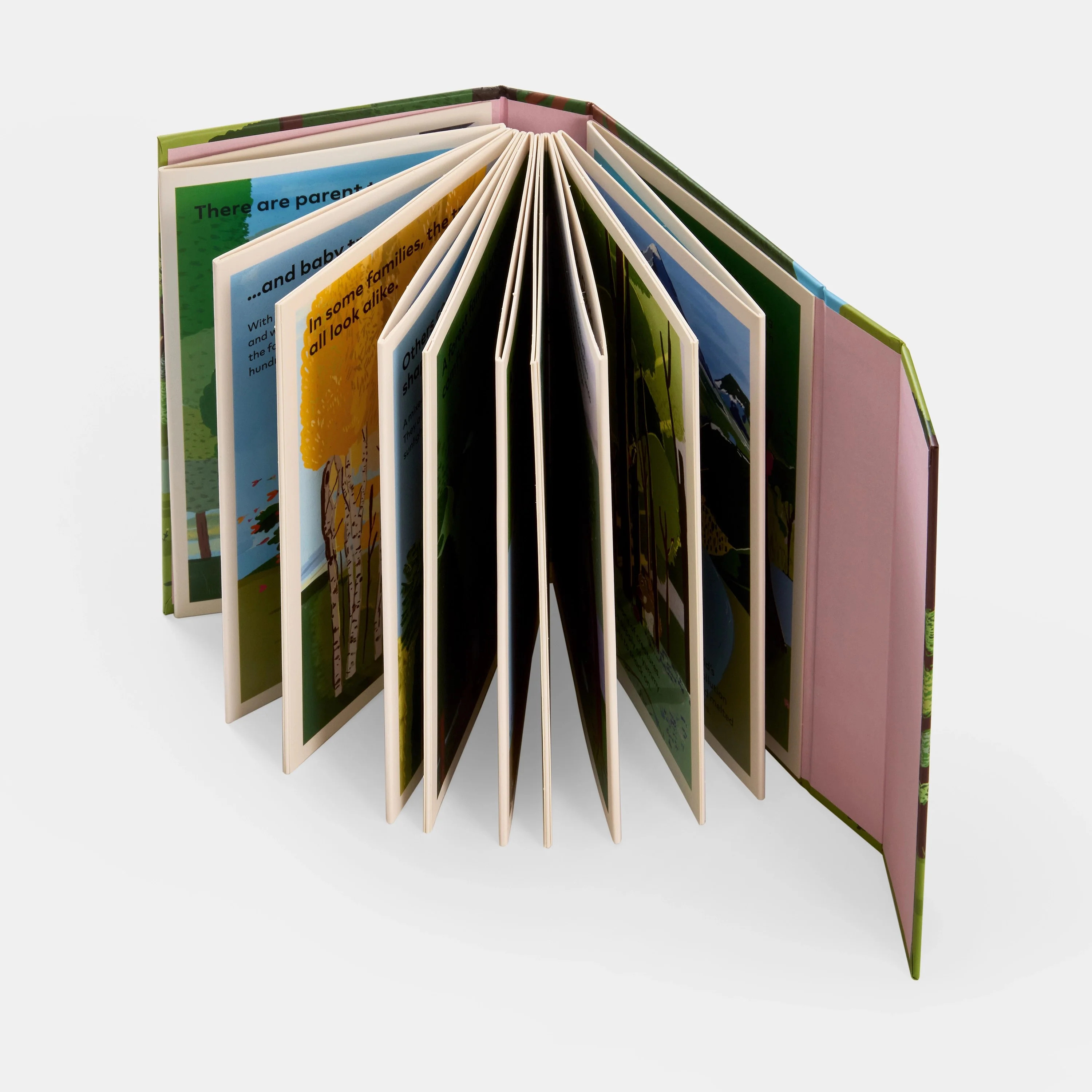 A Family of Trees: My First Book of Forests - Image 5