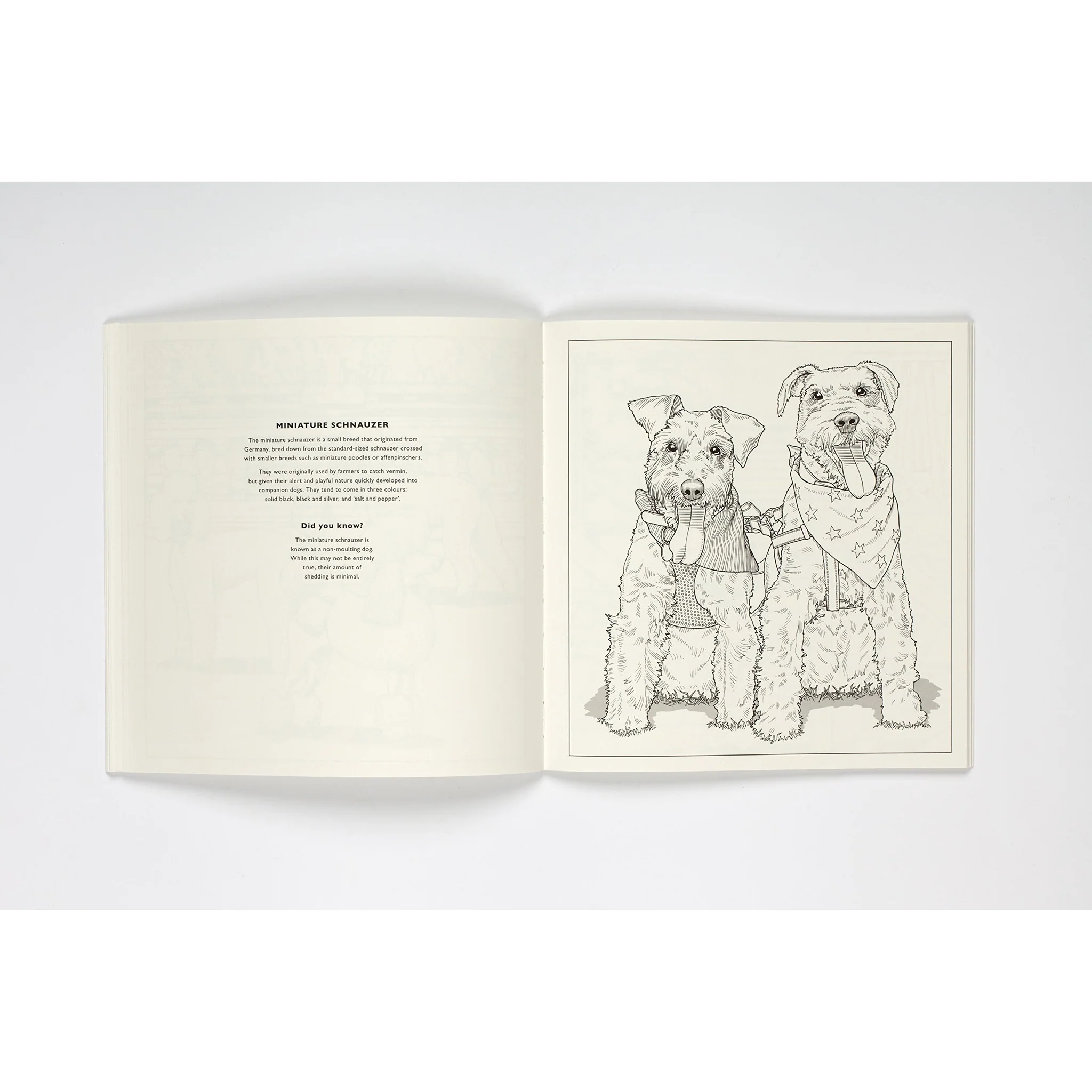 All About the Dog - Image 4