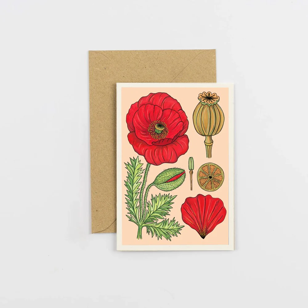 All Occasions Card - Vintage Poppy