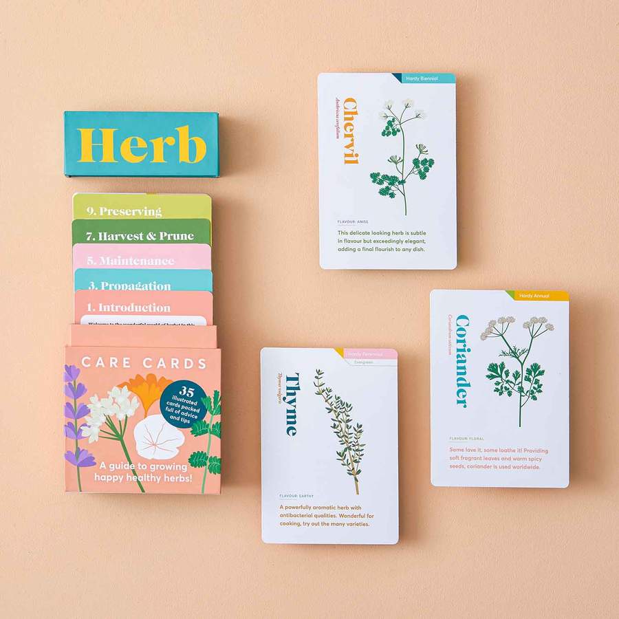 Another Studio - Herb Care Cards - Image 3