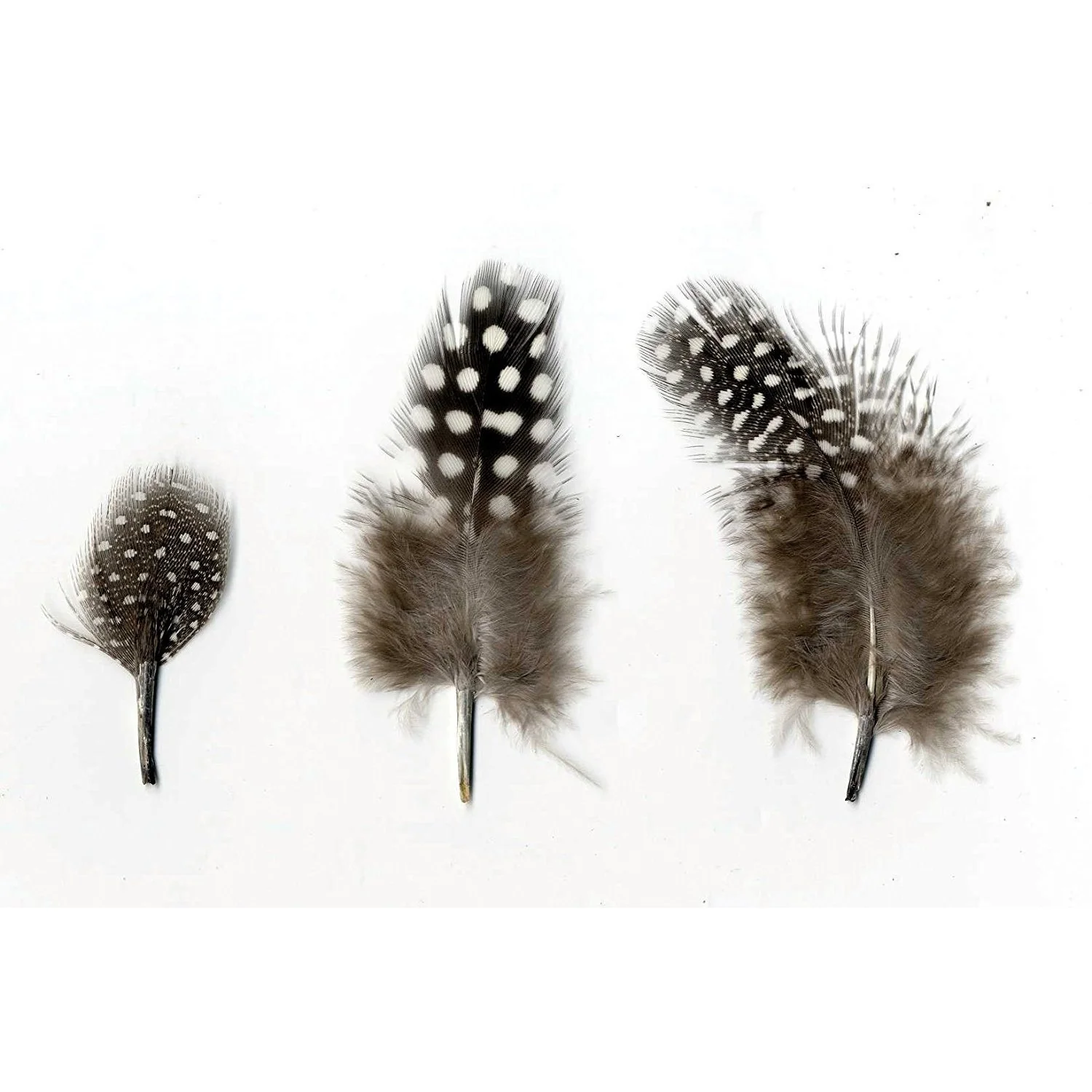Artemio Feathers 3g - Image 2