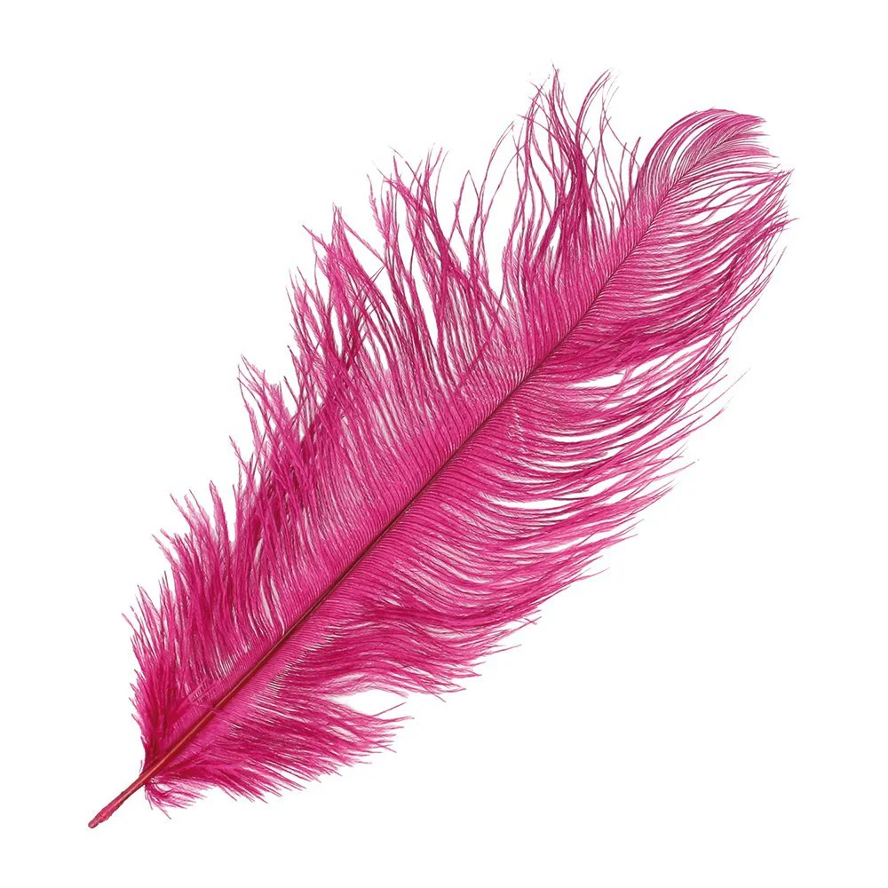 Artemio Ostrich Feathers \ White - Image 3