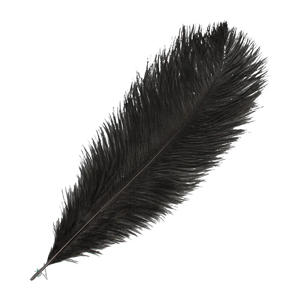 Artemio Ostrich Feathers \ White - Image 4