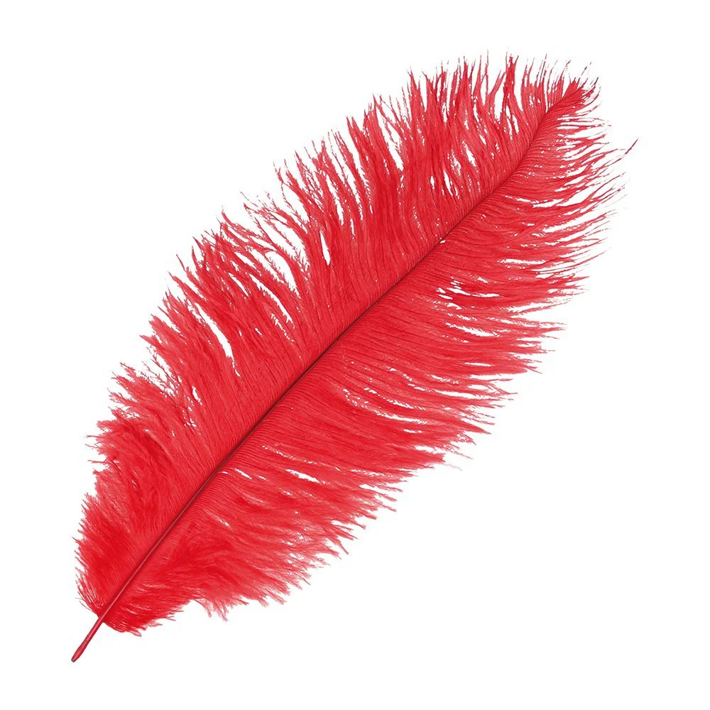 Artemio Ostrich Feathers \ White - Image 5