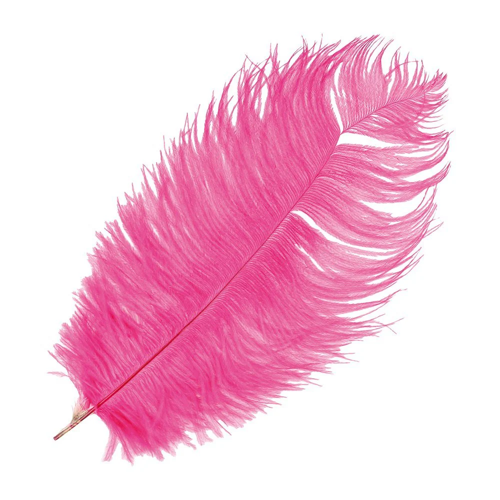 Artemio Ostrich Feathers \ White - Image 6