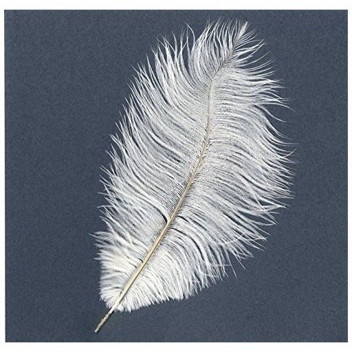 Artemio Ostrich Feathers \ White - Image 7