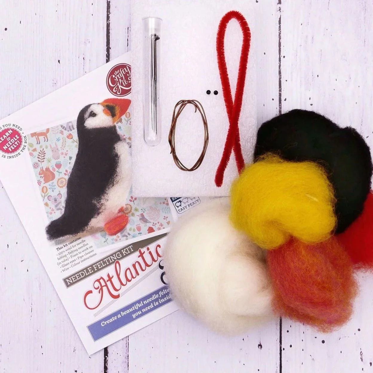 Atlantic Puffin - Image 3