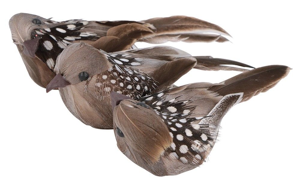 Birds (Natural colour) - Pack of 3