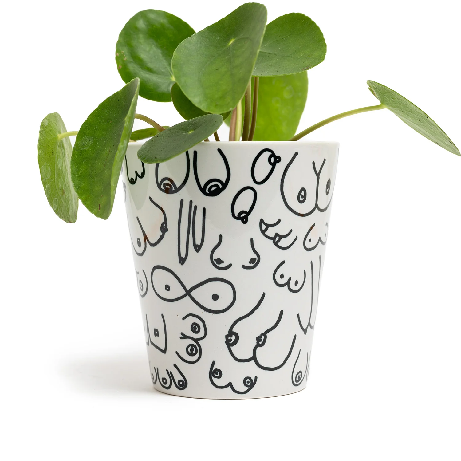 Boobies Plant Pot - Image 2
