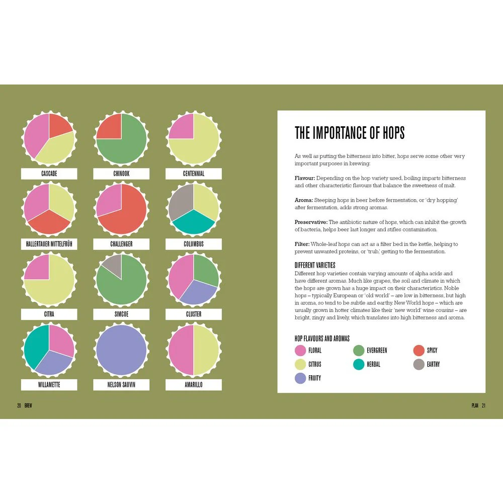 BREW: A Graphic Guide to Home Brewing - Image 4