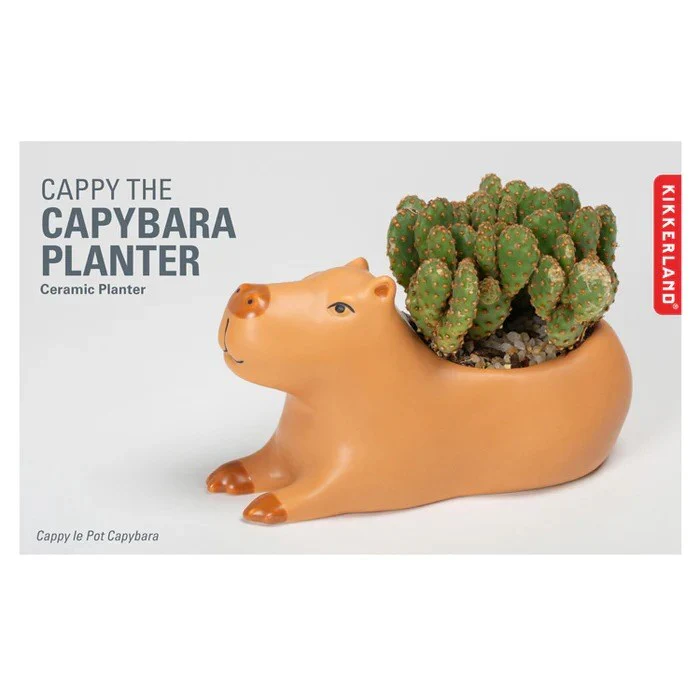 Cappy the Capybara Planter Large - Image 2
