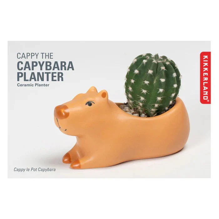 Cappy the Capybara Planter Small - Image 2