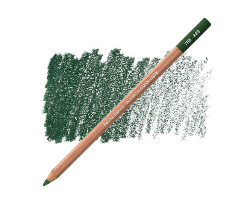 Caran d'Ache Pastel Pencil - Image 41