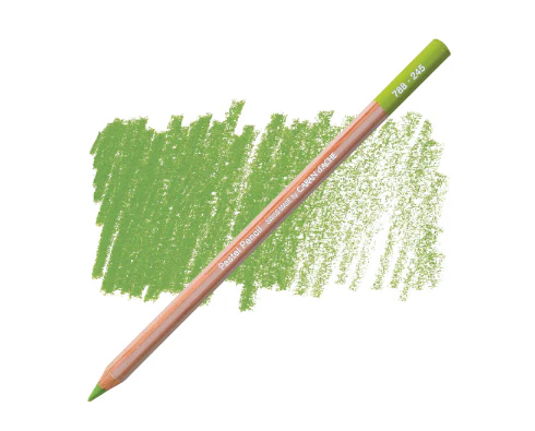 Caran d'Ache Pastel Pencil - Image 47