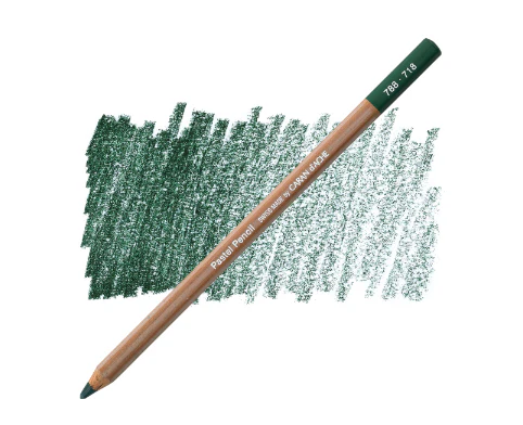 Caran d'Ache Pastel Pencil - Image 69