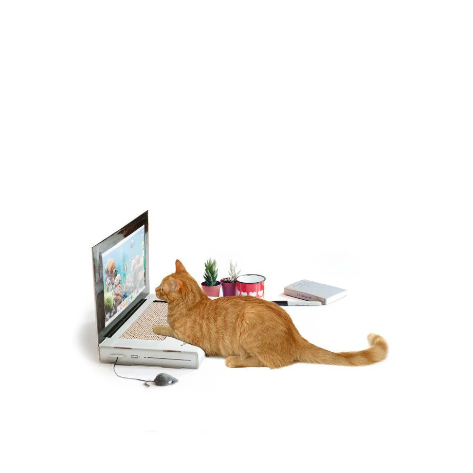 Cat Laptop Scratch Pad - Image 2