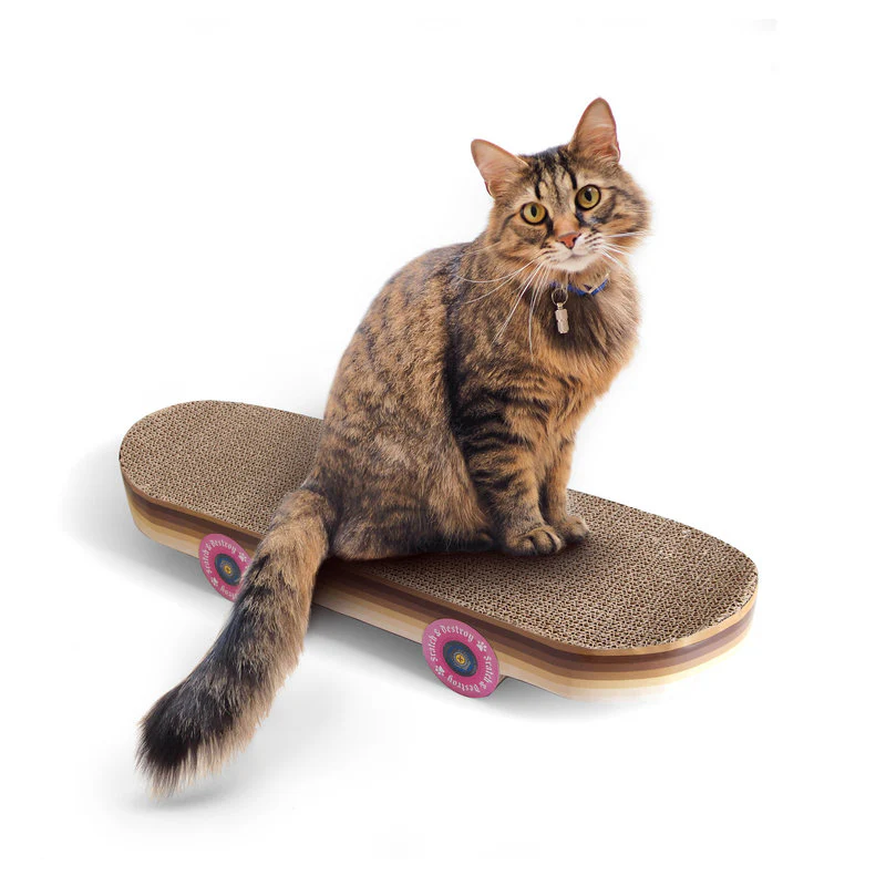 Cat Scratch Skateboard - Image 3