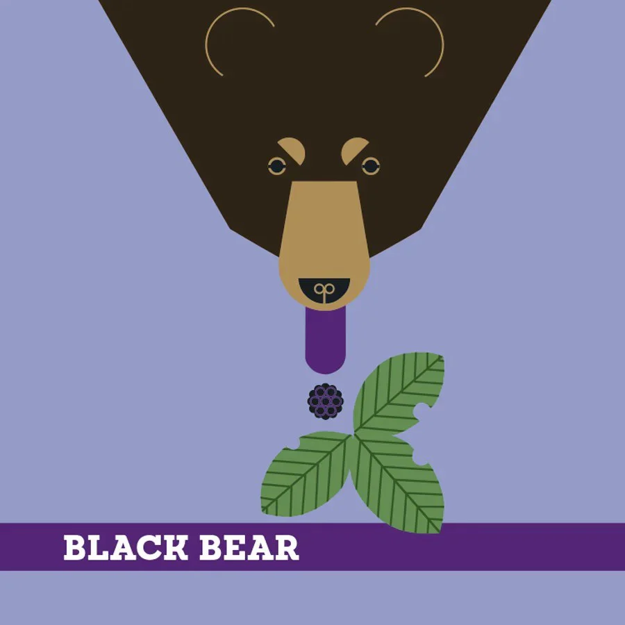 Charley Harper: Memory Game - Animals - Image 2