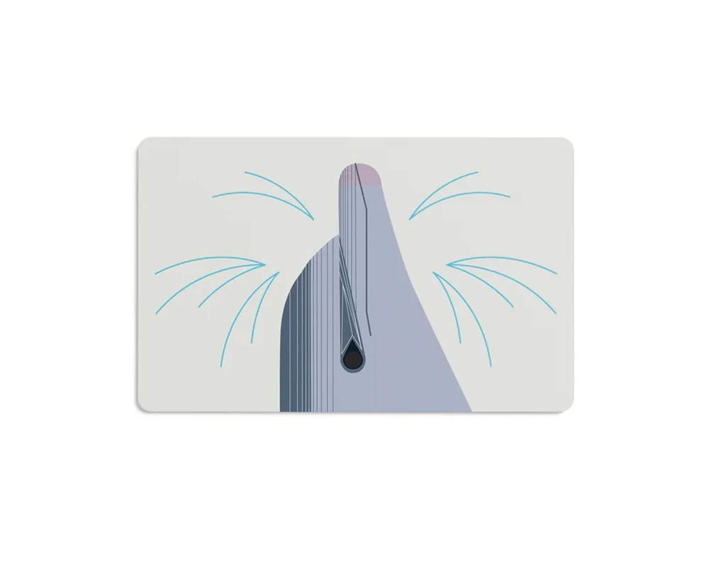 Charley Harper: Flash Cards - I Am Wild - Image 4