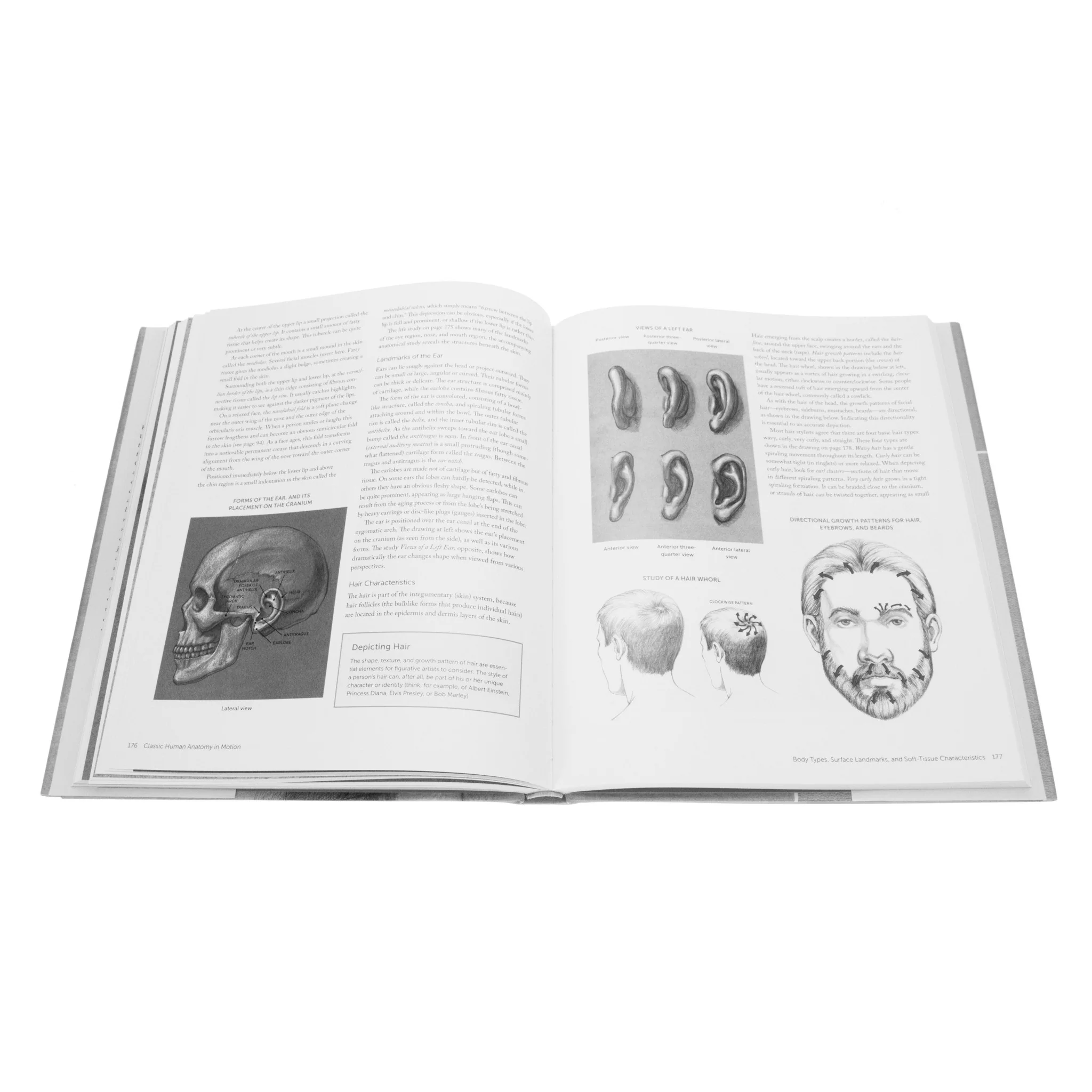 Classic Human Anatomy In Motion - Image 3