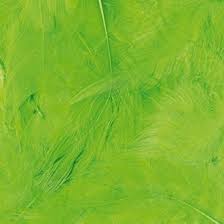 Artemio Coloured Feathers 8-12cm - Image 2