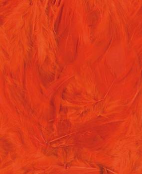 Artemio Coloured Feathers 8-12cm - Image 4