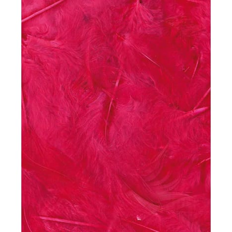 Artemio Coloured Feathers 8-12cm - Image 7