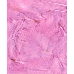 Artemio Coloured Feathers 8-12cm - Image 8