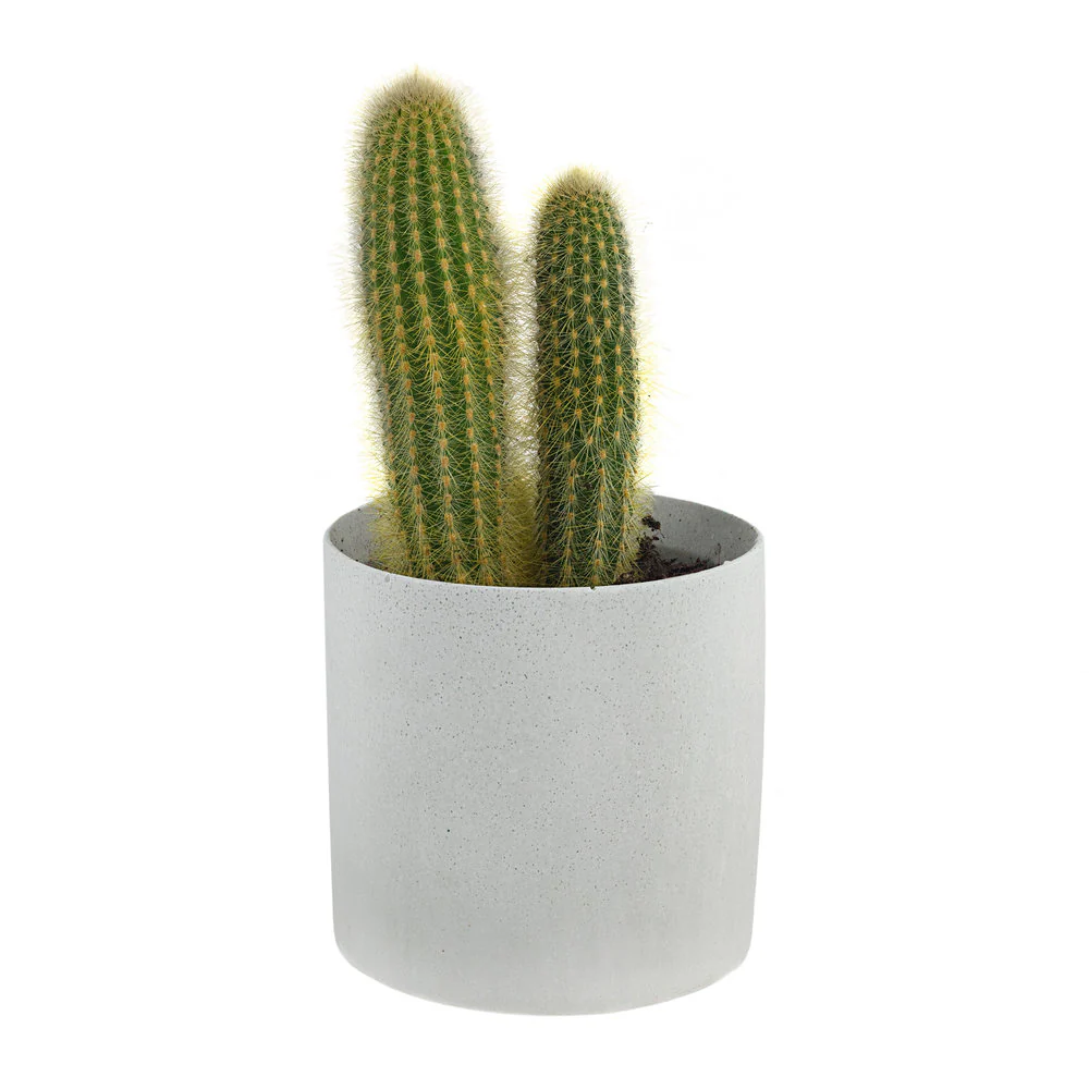 Concrete Plant Pot - Image 3