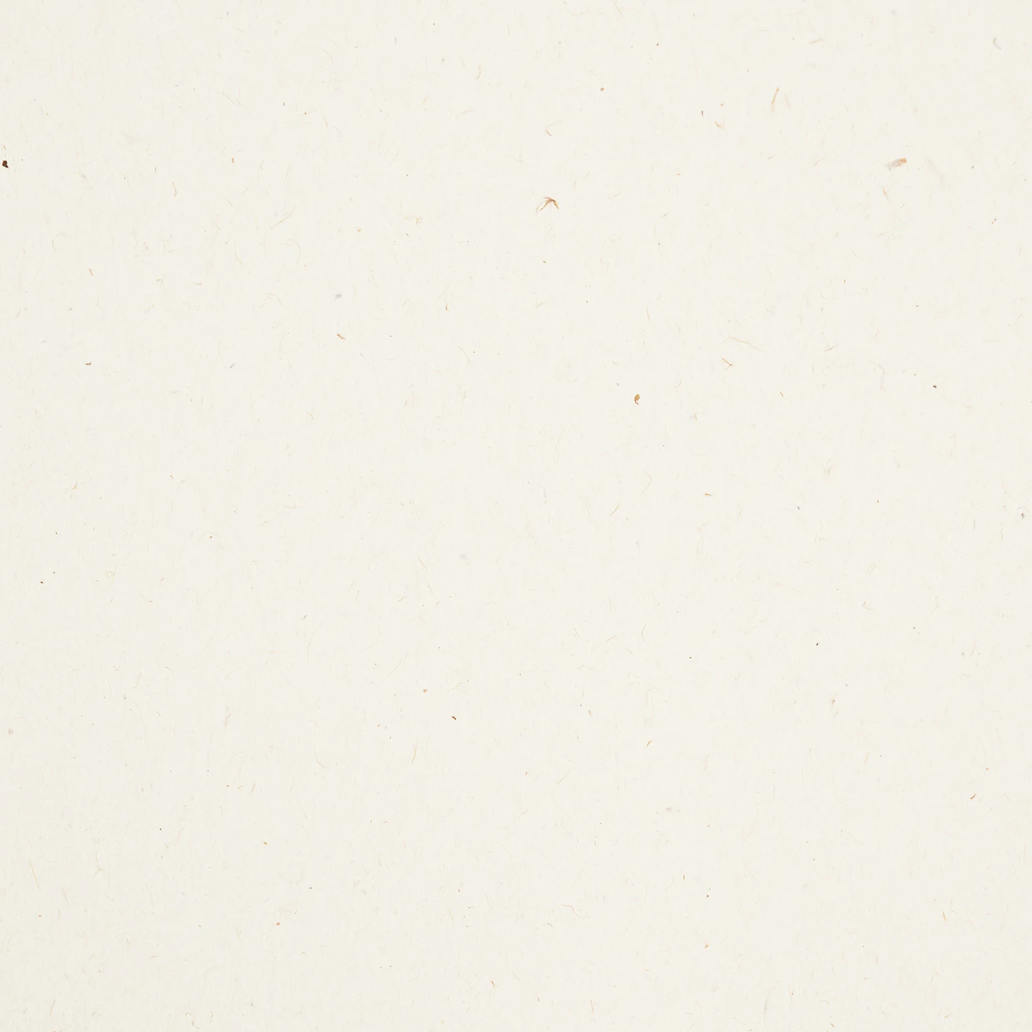 Context Birch A1 140gsm - Image 2