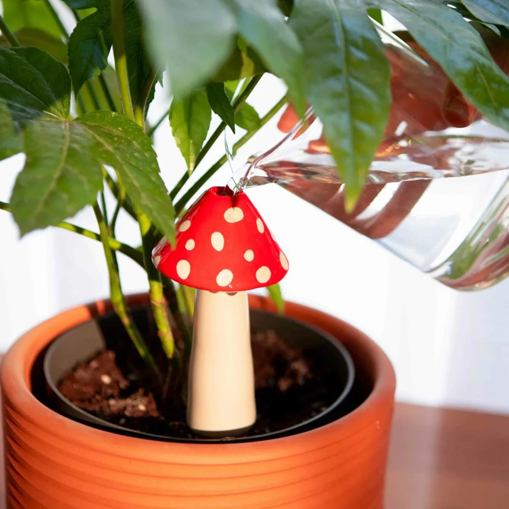 DOIY Amanita Self-watering System - Image 3