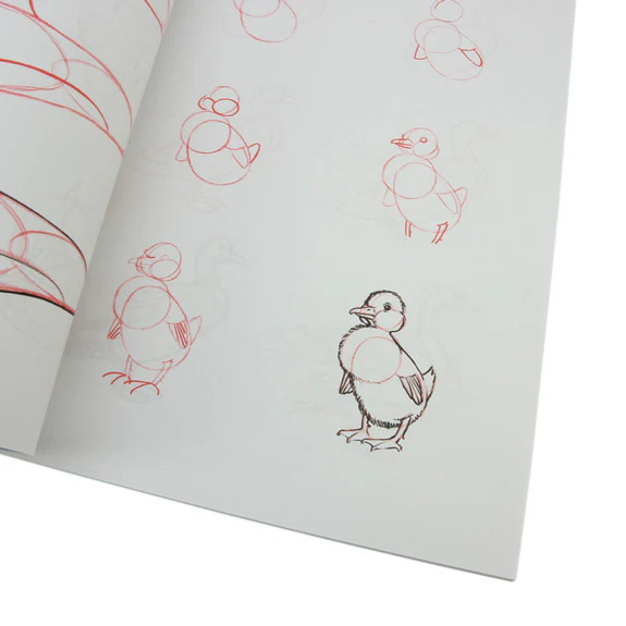 Draw 50 Animals - Image 2
