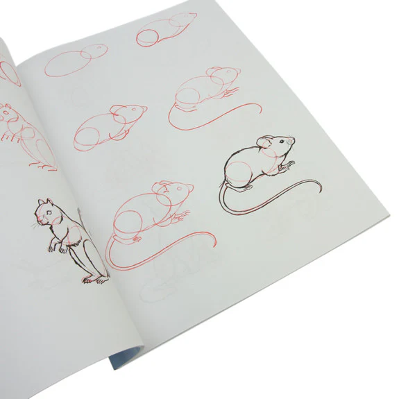 Draw 50 Animals - Image 3