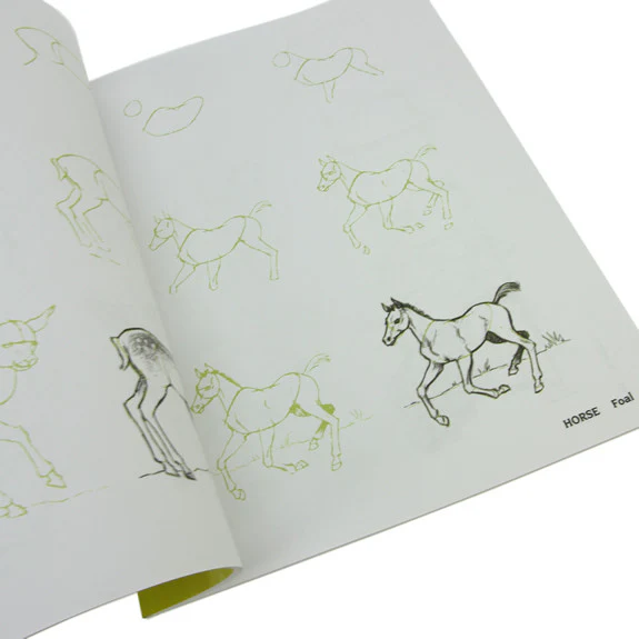 Draw 50 Baby Animals - Image 3