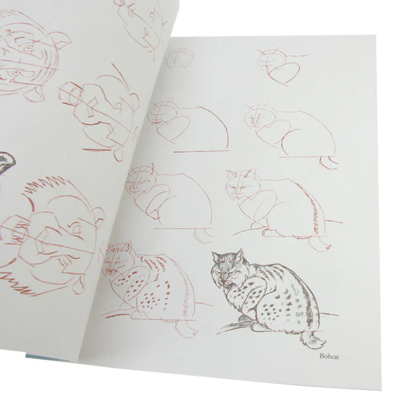 Draw 50 Cats - Image 3