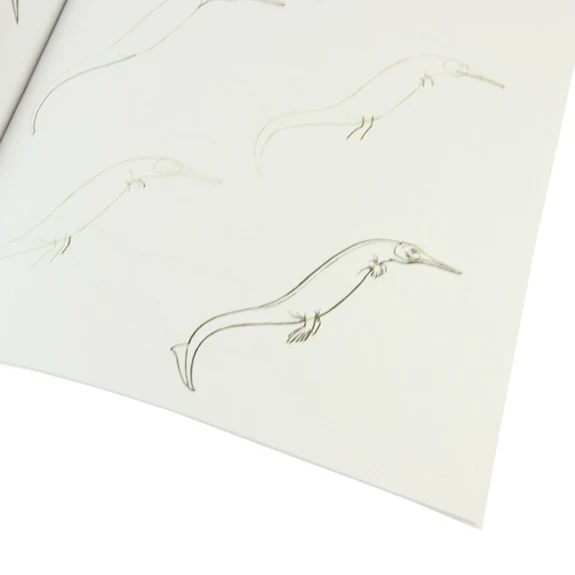 Draw 50 Dinosaurs and Other Prehistoric Animals - Image 3