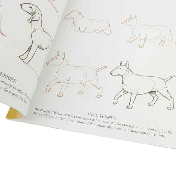 Draw 50 Dogs - Image 2