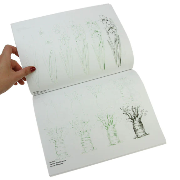 Draw 50 Flowers, Trees and Other Plants - Image 4