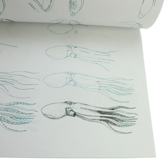 Draw 50 Sharks, Whales and Other Sea Creatures - Image 2