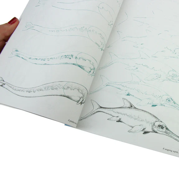 Draw 50 Sharks, Whales and Other Sea Creatures - Image 4