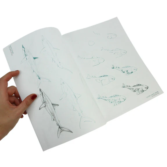 Draw 50 Sharks, Whales and Other Sea Creatures - Image 6