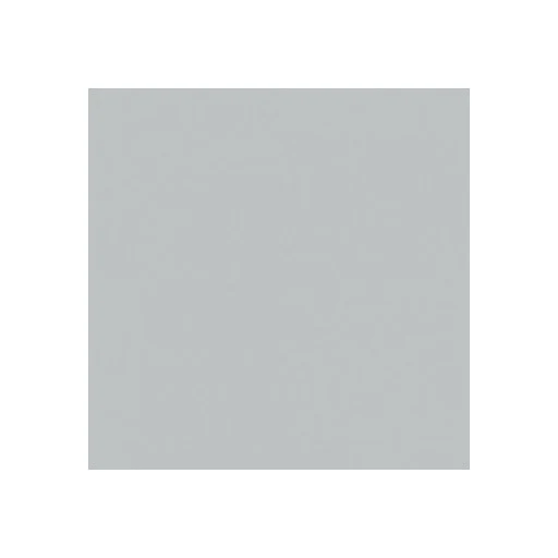 Efcolor Enamel Powder 10ml Silvergrey