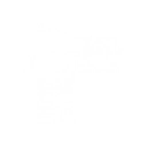 Efcolor Enamel Powder 10ml White