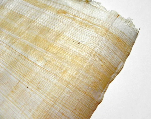 Egyptian Papyrus 30 x 40cm - Image 2