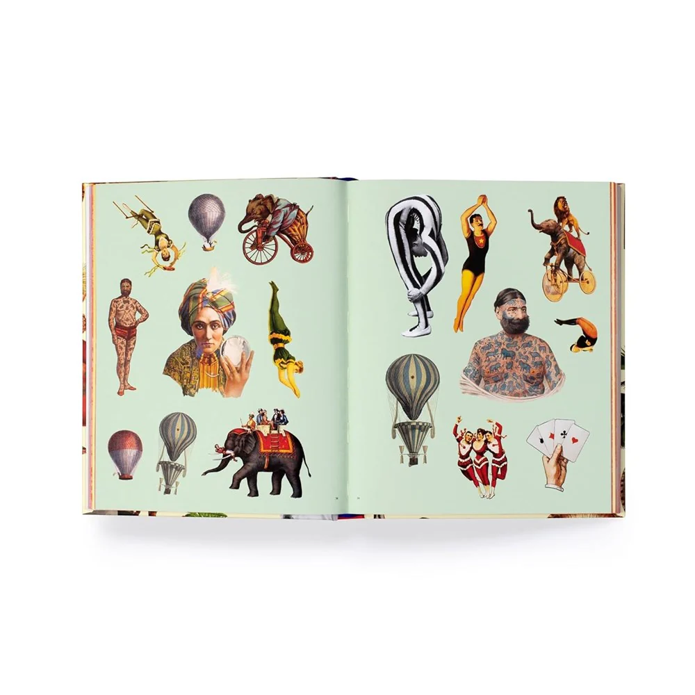 Extraordinary Things Sticker Book - Image 3